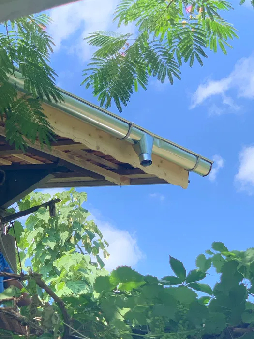 Jgheaburi și Burlane